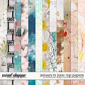 January To June: Top Papers by Studio Basic & Little Butterfly Wings