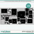 Cindy's Layered Templates - Photo Palooza 172 by Cindy Schneider Cindy's Layered Templates - Photo Palooza 172 by Cindy Schneider