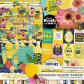 Lemonade Season Bundle by Clever Monkey Graphics Lemonade Season Bundle by Clever Monkey Graphics