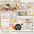 August And All The Memories... Bundle by Studio Basic & Little Butterfly Wings