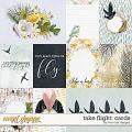 Take Flight: Cards by River Rose Designs