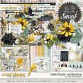 Take Flight: Collection + FWP by River Rose Designs