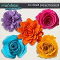 CU Rolled Paper Flowers 2 by Clever Monkey Graphics 