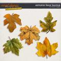 Autumn Faux Leaves - CU - by Brook Magee