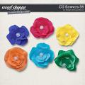 CU Flowers 56 by Blagovesta Gosheva