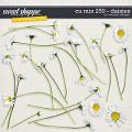 CU mix 250 - daisies by WendyP Designs CU mix 250 - daisies by WendyP Designs