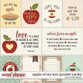 Apple of My Eye Pocket Cards by Ponytails
