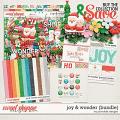 Joy & Wonder Bundle by Ponytails