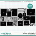 Cindy's Layered Templates - Photo Palooza 204 by Cindy Schneider