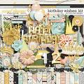 Birthday Wishes: Kit by River Rose Designs