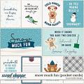 Snow Much Fun Pocket Cards by Ponytails