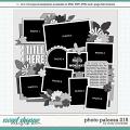 Cindy's Layered Templates - Photo Palooza 215 by Cindy Schneider