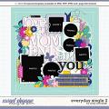 Cindy's Layered Templates - Everyday Single 2 by Cindy Schneider