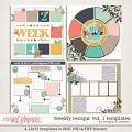 Weekly Recaps Templates Vol. 1 by Meagan's Creations