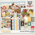 Spring Chicken Bundle by LJS Designs