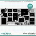 Cindy's Layered Templates - Photo Palooza 236 by Cindy Schneider