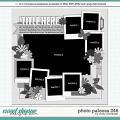 Cindy's Layered Templates - Photo Palooza 246 by Cindy Schneider Cindy's Layered Templates - Photo Palooza 246 by Cindy Schneider