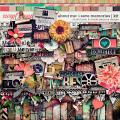 About Me: I Save Memories Kit by Simple Pleasure Designs and Studio Basic About Me: I Save Memories Kit by Simple Pleasure Designs and Studio Basic