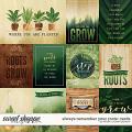 Always: Remember your Roots Cards by Kristin Cronin-Barrow