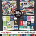 My Chronic Life Bundle by Clever Monkey Graphics