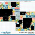 Cindy's Layered Templates - Half Pack 356: Framed 37 by Cindy Schneider