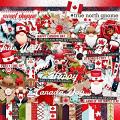True North gnome by WendyP Designs True North gnome by WendyP Designs