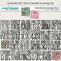 Words to Scrap By 1 by Clever Monkey Graphics Words to Scrap By 1 by Clever Monkey Graphics