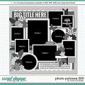Cindy's Layered Templates - Photo Palooza 260 by Cindy Schneider Cindy's Layered Templates - Photo Palooza 260 by Cindy Schneider