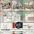 The What Where Why Big Collection by Studio Basic