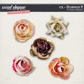 CU - Flowers 6 by lliella designs CU - Flowers 6 by lliella designs