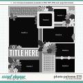 Cindy's Layered Templates - Photo Palooza 270 by Cindy Schneider