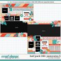 Cindy's Layered Templates - Half Pack 366: Panorama 5 by Cindy Schneider