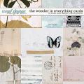 The Wonder In Everything Cards by Studio Basic and Rachel Jefferies The Wonder In Everything Cards by Studio Basic and Rachel Jefferies