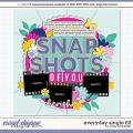 Cindy's Layered Templates - Everyday Single 62 by Cindy Schneider Cindy's Layered Templates - Everyday Single 62 by Cindy Schneider