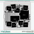 Cindy's Layered Templates - Photo Palooza 276 by Cindy Schneider