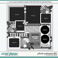 Cindy's Layered Templates - Photo Palooza 281 by Cindy Schneider