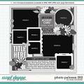 Cindy's Layered Templates - Photo Palooza 282 by Cindy Schneider