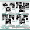 Cindy's Layered Templates - Photo Palooza Big Bundle 4 by Cindy Schneider Cindy's Layered Templates - Photo Palooza Big Bundle 4 by Cindy Schneider
