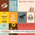 50 States: North Dakota Cards by Kelly Bangs Creative
