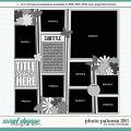 Cindy's Layered Templates - Photo Palooza 291 by Cindy Schneider Cindy's Layered Templates - Photo Palooza 291 by Cindy Schneider