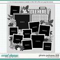 Cindy's Layered Templates - Photo Palooza 295 by Cindy Schneider Cindy's Layered Templates - Photo Palooza 295 by Cindy Schneider