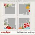 The Big Picture - Christmas by LJS Designs