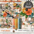 Restart: Collection + FWP by River Rose Designs