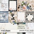 Pieces of Me: Cards by River Rose Designs