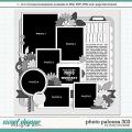 Cindy's Layered Templates - Photo Palooza 303 by Cindy Schneider