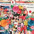 Remember the Magic: WORLDS JAPAN by Studio Flergs