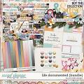 Life Documented Bundle by Ponytails