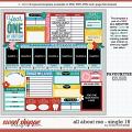 Cindy's Layered Templates - All About Me: Single 16 by Cindy Schneider