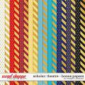 Scholar: Theatre Bonus Papers by Meagan's Creations