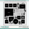 Cindy's Layered Templates - Photo Palooza 311 by Cindy Schneider